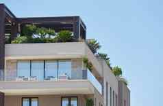 手掌植物成长屋顶天井现代住宅建筑欧洲