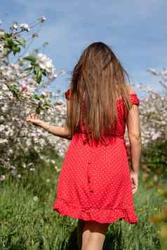 年轻的高加索人女人红色的衣服享受开花苹果树
