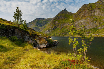 人坐在石头享受美<strong>风</strong>景如画的海岸山湖挪威罗弗敦群岛岛屿山坡上山覆盖绿色草