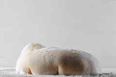 小麦面团球面粉烹饪披萨意大利白色面团食物空白餐厅