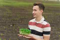 vegeterianmicrogreen土壤手男人。持有绿色microgreen向日葵种子手健康的素食主义者食物交付