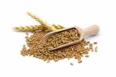小麦粮食种子溢出木独家新闻