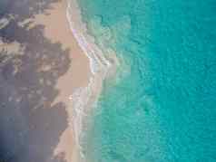 普拉兰岛塞舌尔热带岛细枝海滩棕榈树昂斯拉齐奥海滩棕榈树站废弃的热带岛梦想海滩昂斯拉齐奥塞舌尔