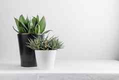 日益增长的室内植物花盆白色表格