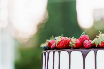 婚礼蛋糕草莓蓝莓前绿色背景白色美味的蛋糕仪式广告厨师