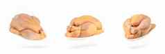生玉米鸡大集孤立的白色背景鸡尸体包装白色塑料托盘黄色的肉鸡饲料玉米