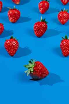 草莓成熟的水果蓝色的背景收获新鲜的红色的浆果