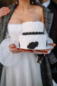 新娘新郎持有婚礼蛋糕手站雪森林