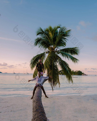 普拉兰岛塞舌尔热带岛细枝海滩棕榈树夫妇但女人棕榈树看日落