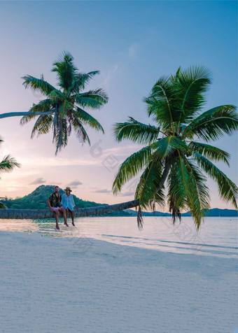 普拉兰岛塞舌尔热带岛细枝海滩棕榈树夫妇但女人棕榈树看日落
