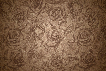 细艺术自然软木塞纹理手画玫瑰花覆盖肖像照片花纹理背景数字工作室背景可爱的家庭照片大气新生儿设计