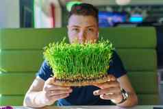 绿色microgreenvegeterian食物手英俊的男人。持有microgreen向日葵种子场素食主义者食物交付sunshile左一边