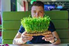 绿色microgreenvegeterian食物手英俊的男人。持有microgreen向日葵种子场素食主义者食物交付sunshile左一边
