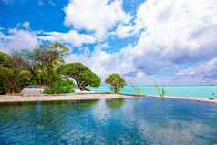 放松旅行马尔代夫在游泳池边海洋水视图