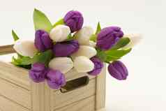紫色的郁金香木盒子背景春天