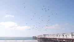 木水晶码头桩白色别墅加州海洋海滩美国