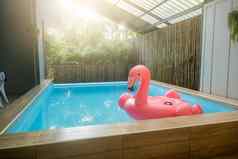 粉红色的充气环火烈鸟塑料游泳池蓝色的水