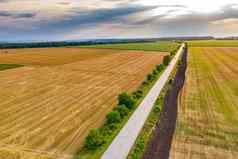 空中视图农村景观农场路小麦字段收获