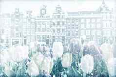 视图传统的建筑阿姆斯特丹雪