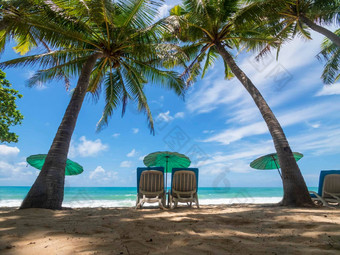 普吉岛泰国假期旅行假期热带海滩沙子椰子手掌树美丽的热带海滩海滩椅子海滩伞