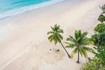 空中视图前视图美丽的局部海滩白色沙子椰子棕榈树海前视图空清洁海滩波崩溃空海滩复制空间