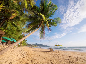 椰子棕榈树白色桑迪海滩<strong>普吉岛</strong>泰国旅行概念椰子棕榈树美丽的热带背景<strong>普吉岛</strong>海滩泰国人群快乐游客假期假期
