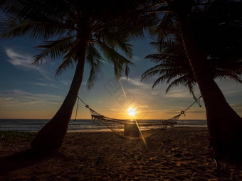 普吉岛海滩泰国轮廓吊床棕榈树热带海滩日落吊床棕榈树日落眩光海海洋天空海岸沙子