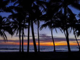美丽的日落海轮廓椰子砰砰砰树芭东海滩热带海滩普吉岛泰国著名的旅游目的地安达曼海