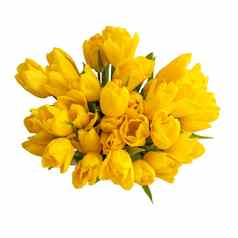 花束新鲜的黄色的郁金香白色孤立的背景春天花花瓶