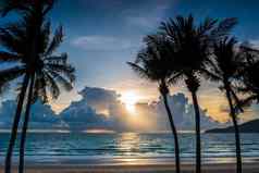 芭东海滩海滩泰国美丽的日落海蓝色的天空云日落时间热带海滩轮廓椰子棕榈树空热带海滩日落时间