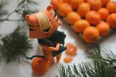 一年圣诞节背景橘子老虎玩具象征