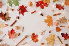 美丽的秋天平铺框架橙色红色的叶子有创意的秋天模式明信片复制空间前视图