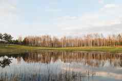 美丽的色彩斑斓的夏天春天自然景观湖包围绿色场树阳光