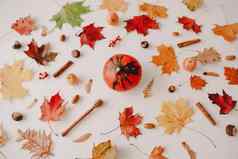 美丽的秋天平铺橙色红色的叶子有创意的秋天模式