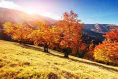 山范围喀尔巴阡山脉的山秋天季节