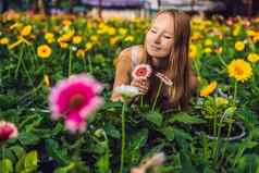 年轻的女人非洲菊农场花培养温室温室格伯斯黛西花植物温室