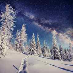 布满星星的天空冬天雪晚上神奇的乳白色的