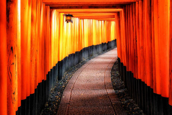 红色的鸟居盖茨伏见inari《京都议定书》日本