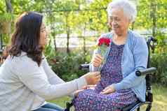 照顾者女儿拥抱亚洲高级上了年纪的夫人女人持有红色的玫瑰轮椅公园
