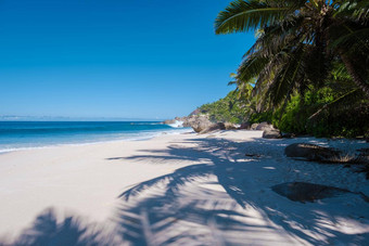 昂斯行政管理部门海滩马埃塞舌尔热带海滩棕榈树塞舌尔马埃