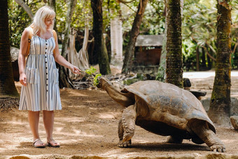 有趣的<strong>家庭娱乐</strong>毛里求斯女孩提要巨大的乌龟毛里求斯动物园