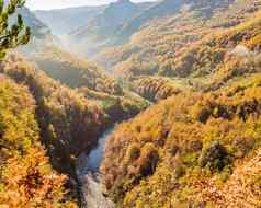 山河塔拉森林黑山共和国旅行黑山共和国概念