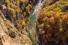 山河塔拉森林黑山共和国旅行黑山共和国概念