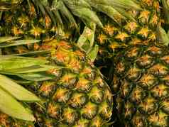 菠萝健康的有机食物背景新鲜的水果农民市场饮食农业
