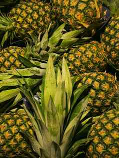菠萝健康的有机食物背景新鲜的水果农民市场饮食农业