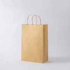 纸板棕色（的）纸袋商店购物业务模型