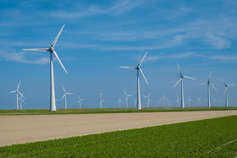 巨大的风车涡轮机离岸风车农场海洋西风公园风车孤立的海美丽的明亮的一天荷兰弗莱福兰东北圩田
