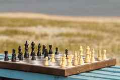 国际象棋董事会国际象棋块木板凳上河路堤
