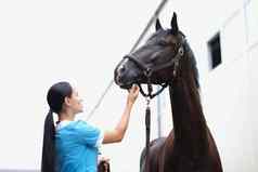 女人兽医医疗检查黑色的马