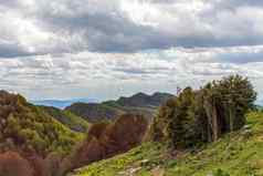 山景观多云的天气森林绿色草地树改变颜色秋天加泰罗尼亚西班牙